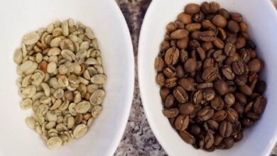 الفرق بين القهوة المغسولة والمجففة