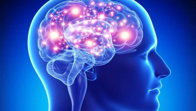 ما الذي يقلل نشاط الدماغ وما هو تأثير التقدم بالعمر على النشاط الدماغي