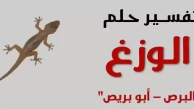 تفسير حلم رؤية البرص او الوزغ في المنام