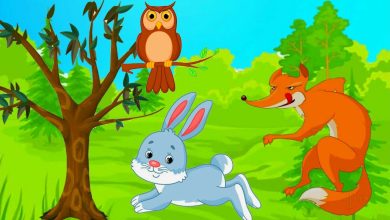 قصة الأرنب والثعلب للاطفال
