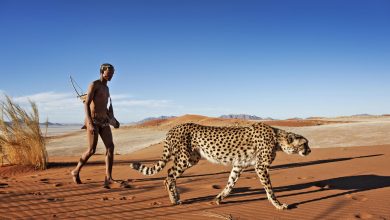 معلومات عند السياحة في ناميبيا