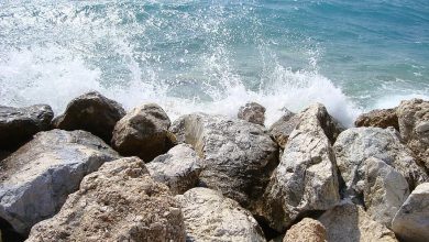 تفسير حلم صخور البحر في المنام