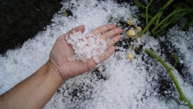 تفسير رؤية البرد في المنام