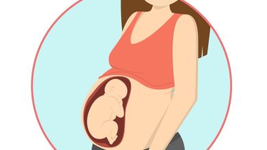 كم وزن الجنين الطبيعي في الشهر السابع