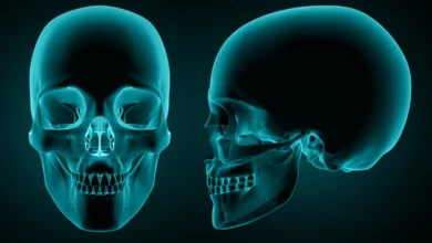 أنواع عظام الجمجمة في جسم الإنسان دليل وافي