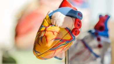 أهمية الوقاية من النوبة القلبية 10 نصائح لحماية قلبك