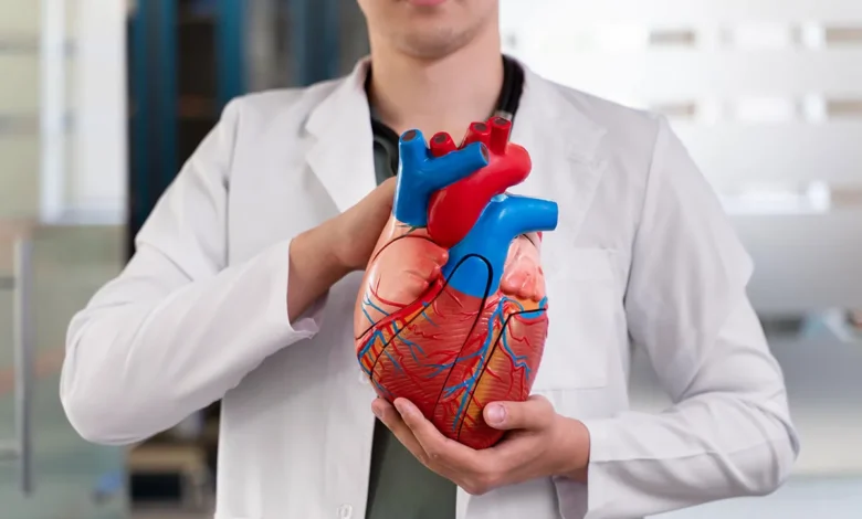 عوامل خطر أمراض القلب وكيفية الوقاية منها