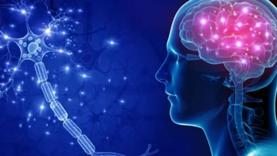 مضاعفات الحمى الشوكية عند الكبار وكيفية الوقاية منها