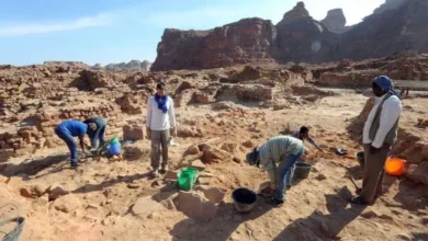 بحث عن أبرز علماء الآثار العرب ونبذة عن إنجازاتهم