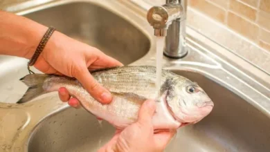 تفسير تنظيف السمك في المنام لابن سيرين