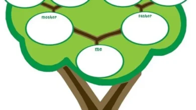 طريقة رسم شجرة العائلة للاطفال بالخطوات