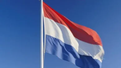 دليل الرواتب في هولندا للاجئين وإجراءات اللجوء إليها