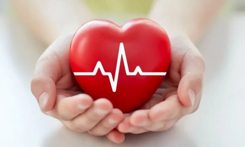 محافظة على صحة القلب دور المغنيسيوم في صحة القلب
