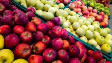 أكثر أنواع التفاح غنى بمضادات الأكسدة حسب الدراسات
